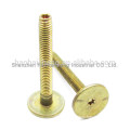 Customized brass slotted head thread forming screws